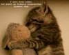   Kitten